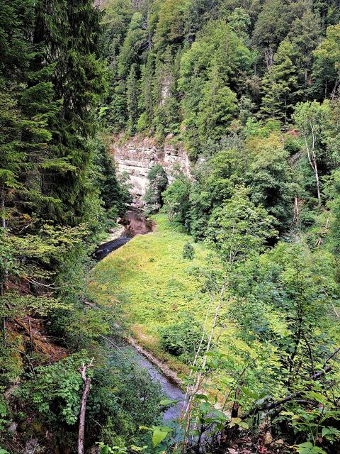 Blick vom Bühlertälerweg hinunter zur mäandrierenden Wutach. | Foto: Isolde Reitz