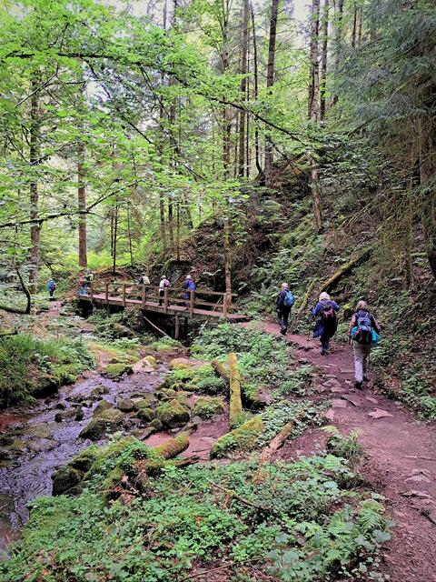 Eingang in die urwüchsige Lotenbachklamm. | Foto: Isolde Reitz