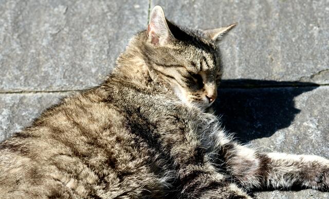 Foto: eigene Aufnahme