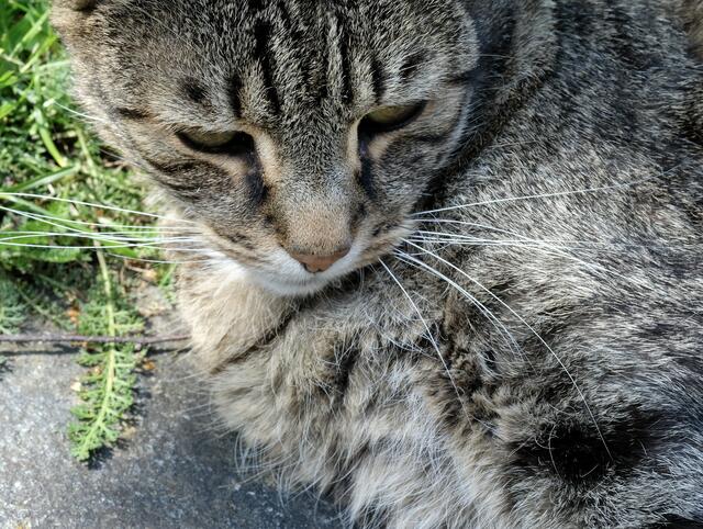 Foto: eigene Aufnahme