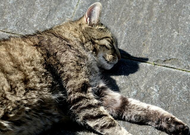 Foto: eigene Aufnahme