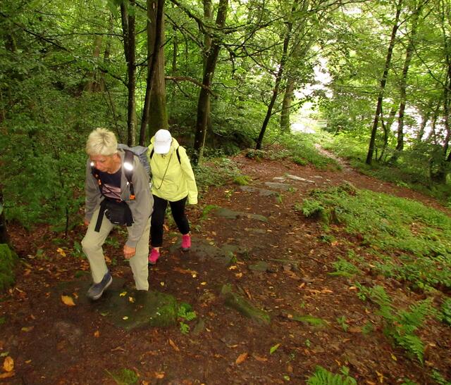 Steil vom Parkplatz weg führte der kürzeste Weg zur Burg Stolzeneck, unserem letzten Etappenziel. | Foto: WandernGabyErich