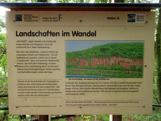 Niederwald mit Stockausschlag und Mehrstämmigkeit ist zauberhaft | Foto: WandernGabyErich