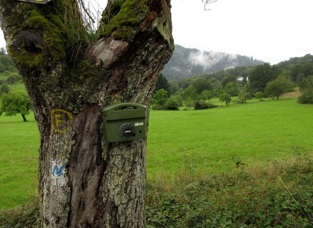 Streuobstwiesentelefon | Foto: WandernGabyErich
