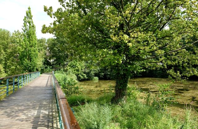 Foto: eigene Aufnahme