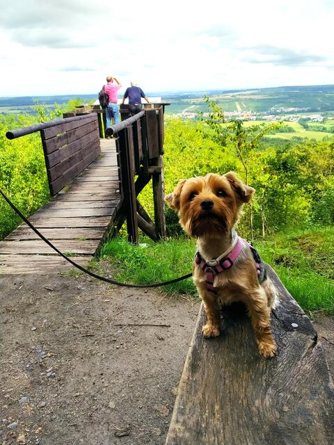 Wander-Lilly ist superneugierig | Foto: Sigrid Schlottke