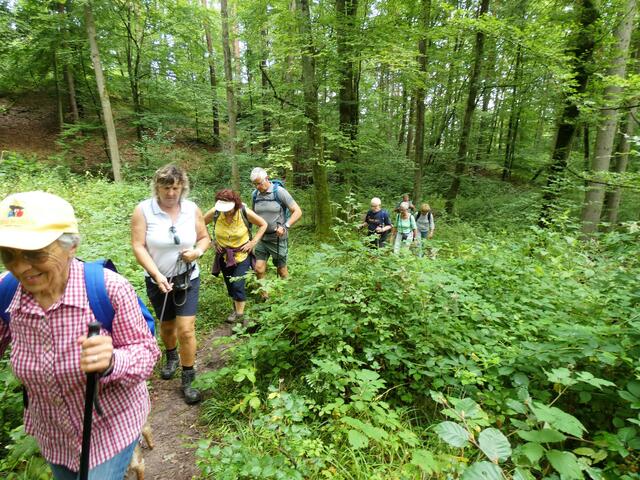 Die Wanderer schlängeln sich den Pfad hinauf | Foto: Sigrid Schlottke
