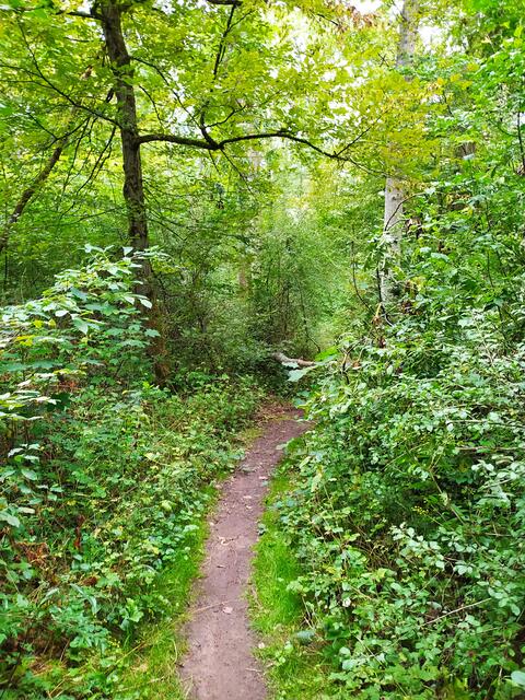 Am Ende führt ein schmaler Pfad direkt zum Parkplatz zurück | Foto: Sigrid Schlottke