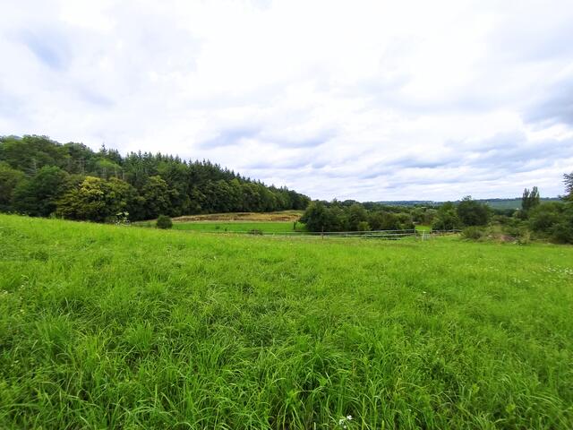So eine beschauliche ländliche Gegend - saftige Wiesen und weite Sicht | Foto: Sigrid Schlottke