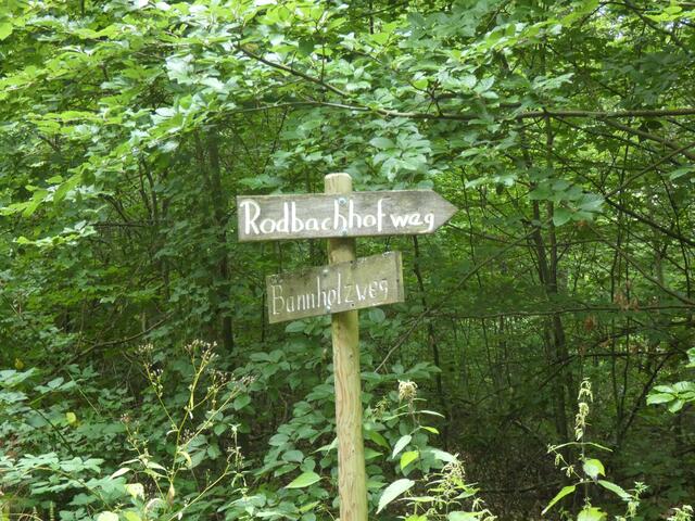 Foto: Sigrid Schlottke