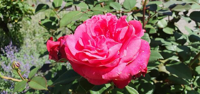 Foto: privat Sibylle Tröber