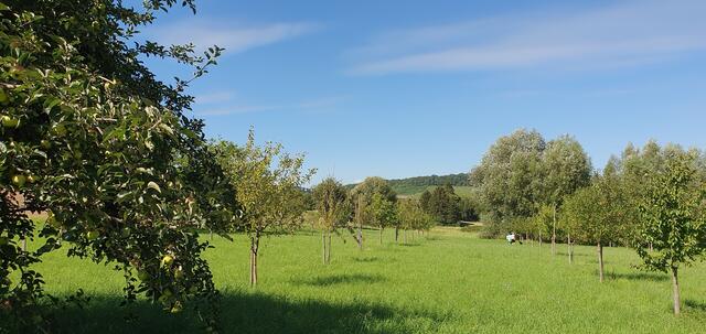 Foto: privat Sibylle Tröber