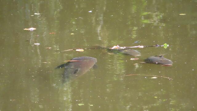 Foto: privat Sibylle Tröber