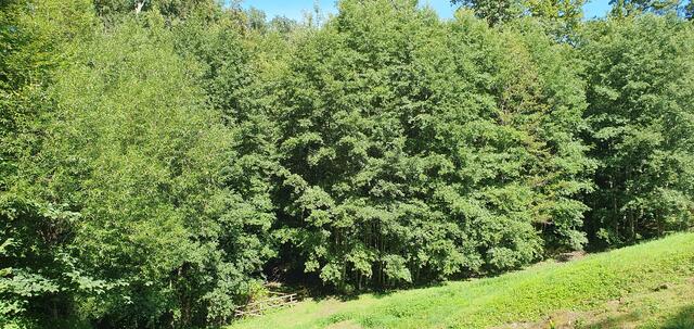 Foto: privat Sibylle Tröber