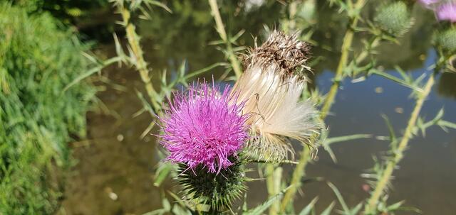 Foto: privat Sibylle Tröber