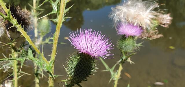 Foto: privat Sibylle Tröber