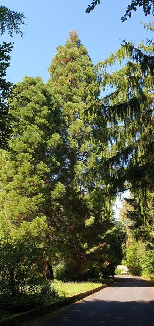 Foto: privat Sibylle Tröber