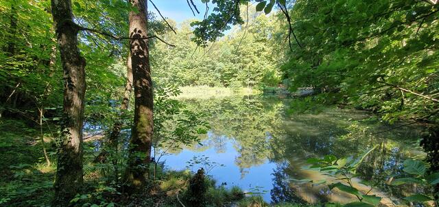 Foto: privat Sibylle Tröber