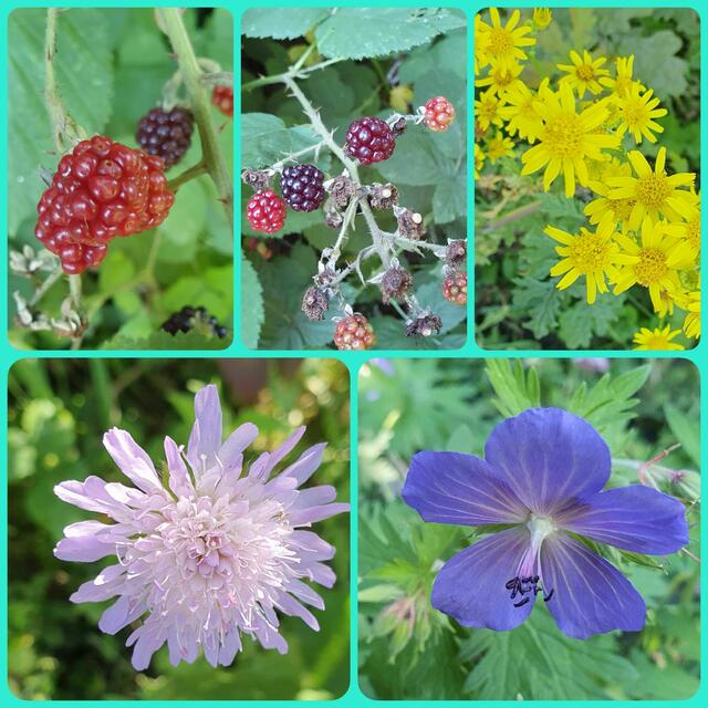 Foto: privat Sibylle Tröber