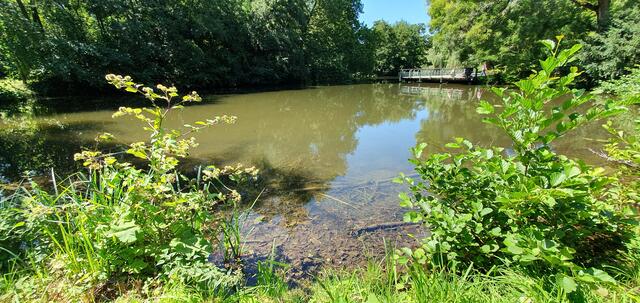 Foto: privat Sibylle Tröber