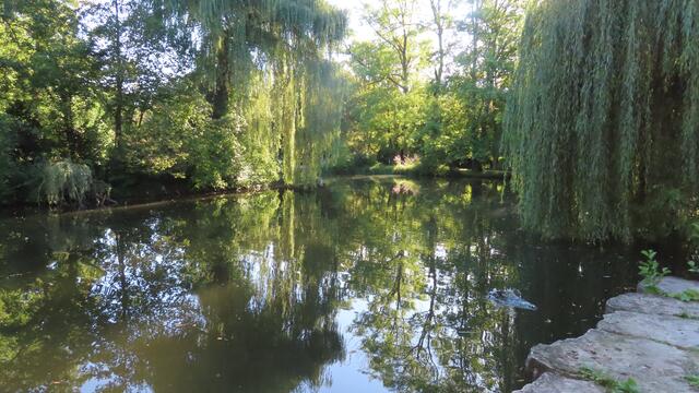 Foto: privat Sibylle Tröber