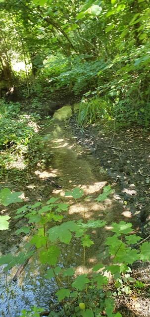 Foto: privat Sibylle Tröber