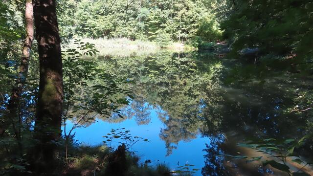 Foto: privat Sibylle Tröber