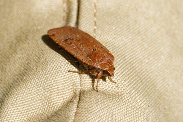 Foto: eigene Aufnahme