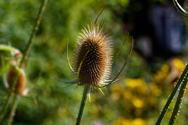 Foto: eigene Aufnahme
