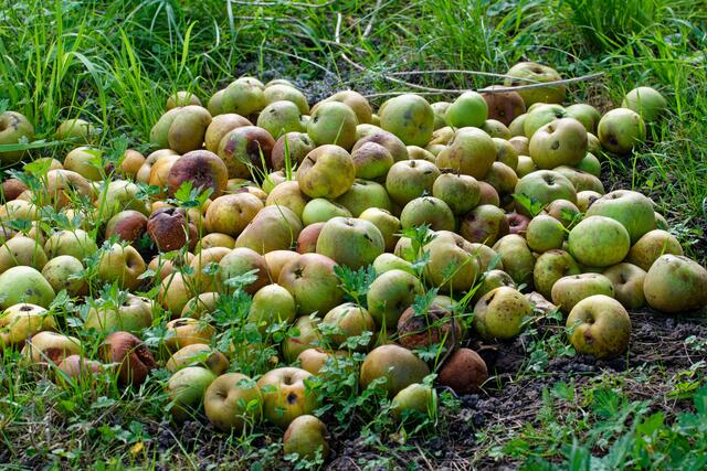 Foto: eigene Aufnahme