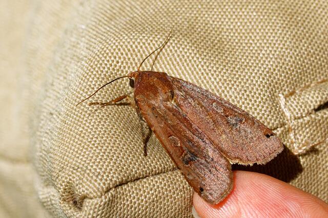 Foto: eigene Aufnahme