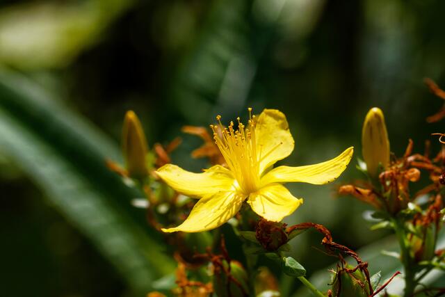 Foto: eigene Aufnahme