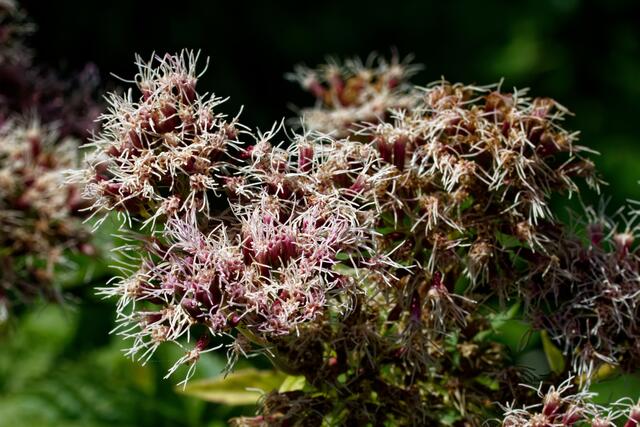 Foto: eigene Aufnahme