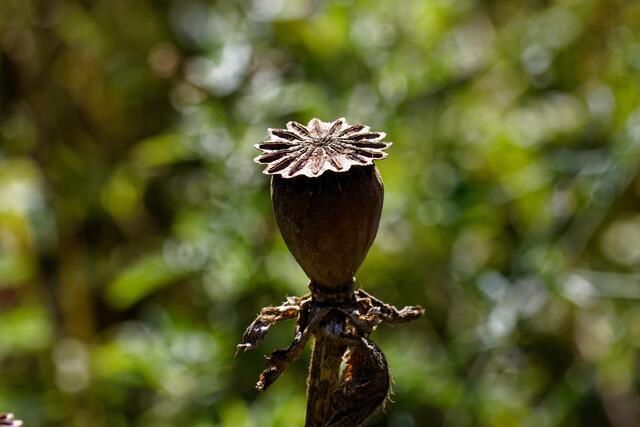 Foto: eigene Aufnahme