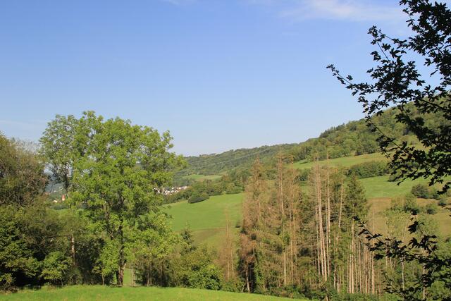 Kochertal- Morsbach im Hintergrund | Foto: Ralf Röser
