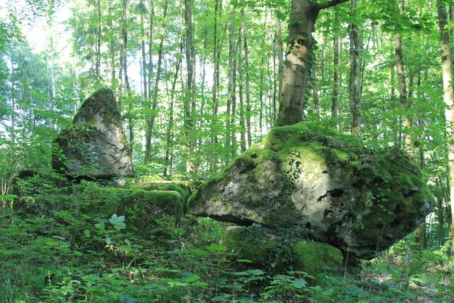 wo die Brocken wohl herkommen? | Foto: Ralf Röser