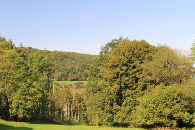 Kochertal | Foto: Ralf Röser