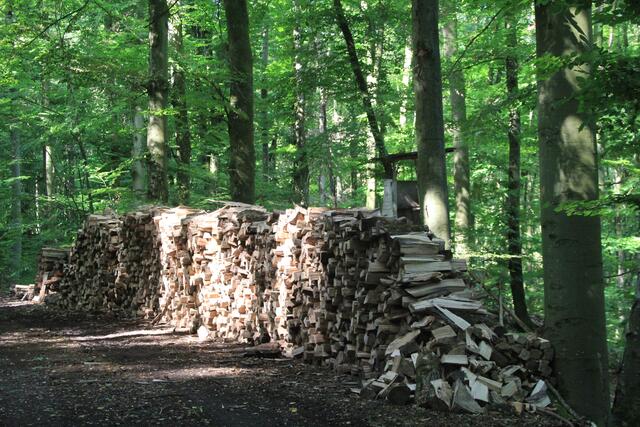 Holz genug da | Foto: Ralf Röser