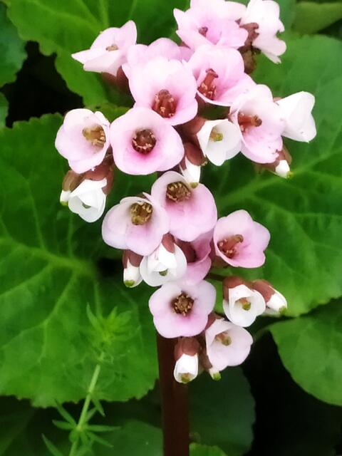 Foto: Sigrid Schlottke