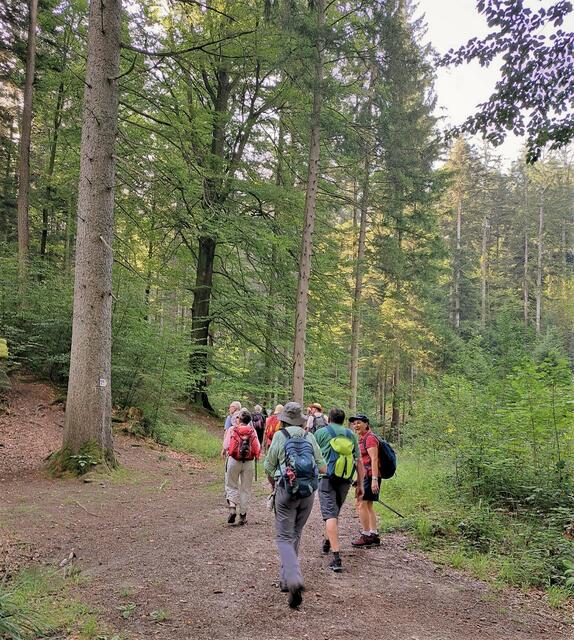 Beim Start im Wald bei Täle herrschten noch angenehme Temperaturen. | Foto: Isolde Reitz