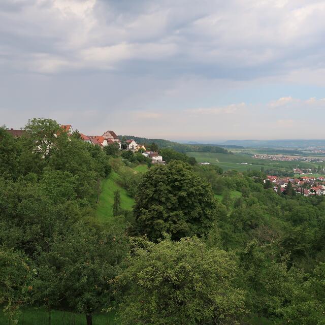 Löwenstein, vom Friedhof aus gesehen. | Foto: Eduard Warenik