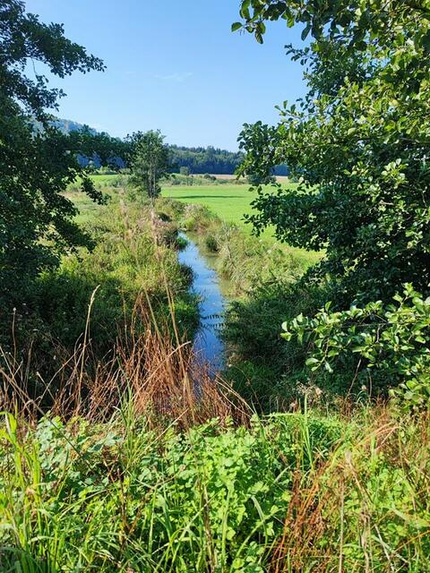 Foto: Wandergruppe Michelbach