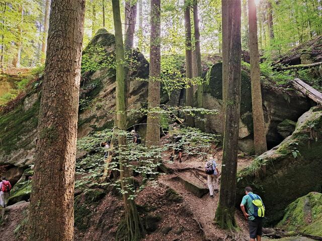 Ein geschichtsträchtiges Kleinod, mitten im Wald gelegen - eine sensationelle Schlucht, die Hägelesklinge. | Foto: Isolde Reitz
