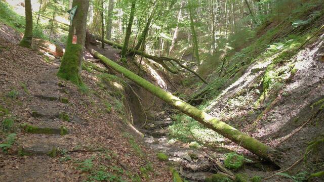 Auf dem Weg zur Brunnenklinge. | Foto: Isolde Reitz