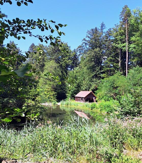 Beim idyllisch und ruhig gelegene Treibsee mit seiner großen Grill - und Vesperhütte. | Foto: Isolde Reitz