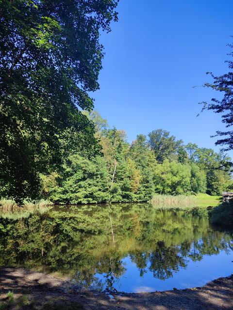 Wanderfotografen haben gerade beim Gesundheitswandern die Sinne offen und den Blick für die Schönheit der Natur in unserer Stadt | Foto: Aurelia Kling