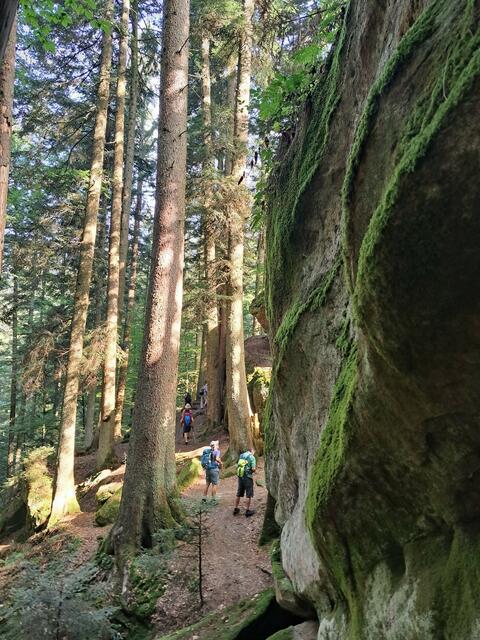 Eine einmalig schöne Schlucht mit vielen sehenswerten und naturnahen Besonderheiten. | Foto: Isolde Reitz