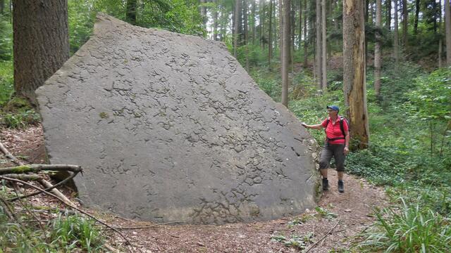 Die 1889 bei Bauarbeiten gefundene 300 Zentner " Große Platte", einer ca. 150 Millionen Jahren alten Meeresbodenplatte.  | Foto: Isolde Reitz