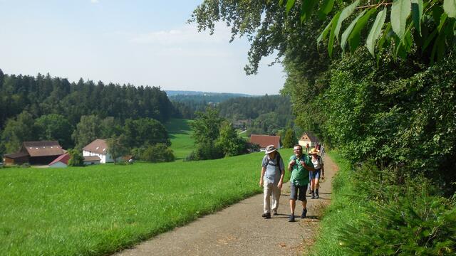 Vom Brandhof aufwärts Richtung Haghof. | Foto: Isolde Reitz