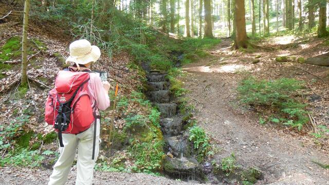 Eine malerische Wassertreppe wurde noch auf dem Rückweg entdeckt. | Foto: Isolde Reitz